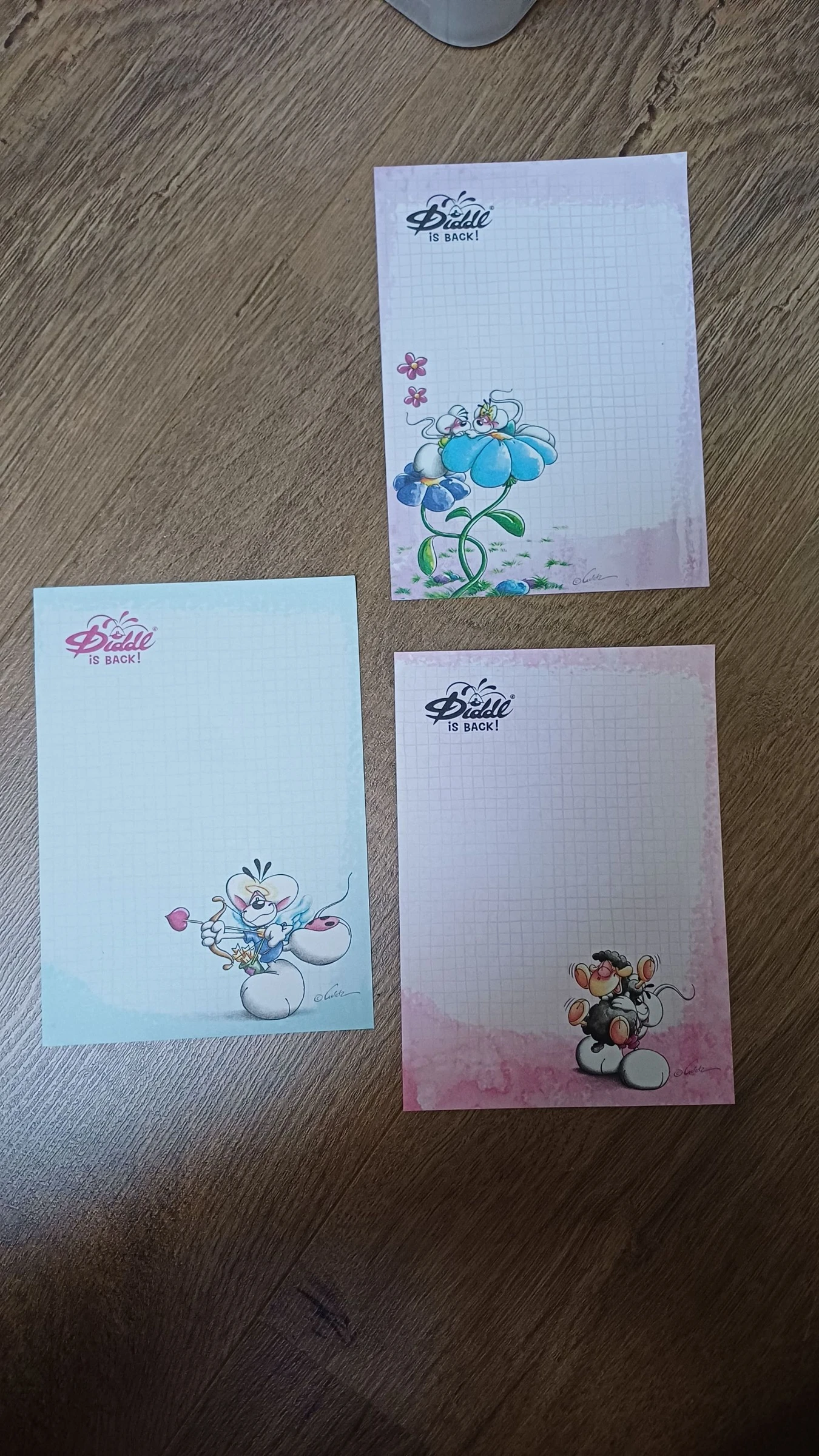 Lot de 3 feuilles diddl is back